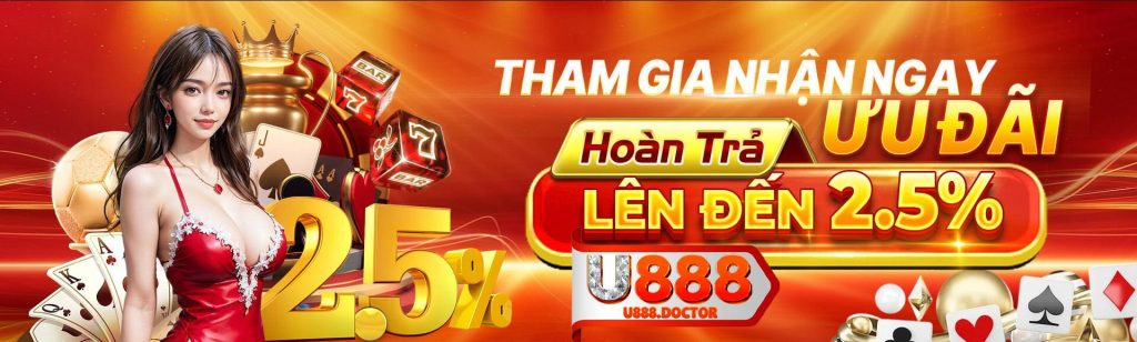 Banner U888