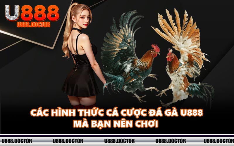 Các hình thức cá cược đá gà U888 mà bạn nên chơi 